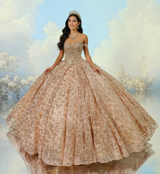 Princesa Ariana  Quinceñera Dress PR22022